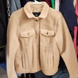 Hollister Jacket