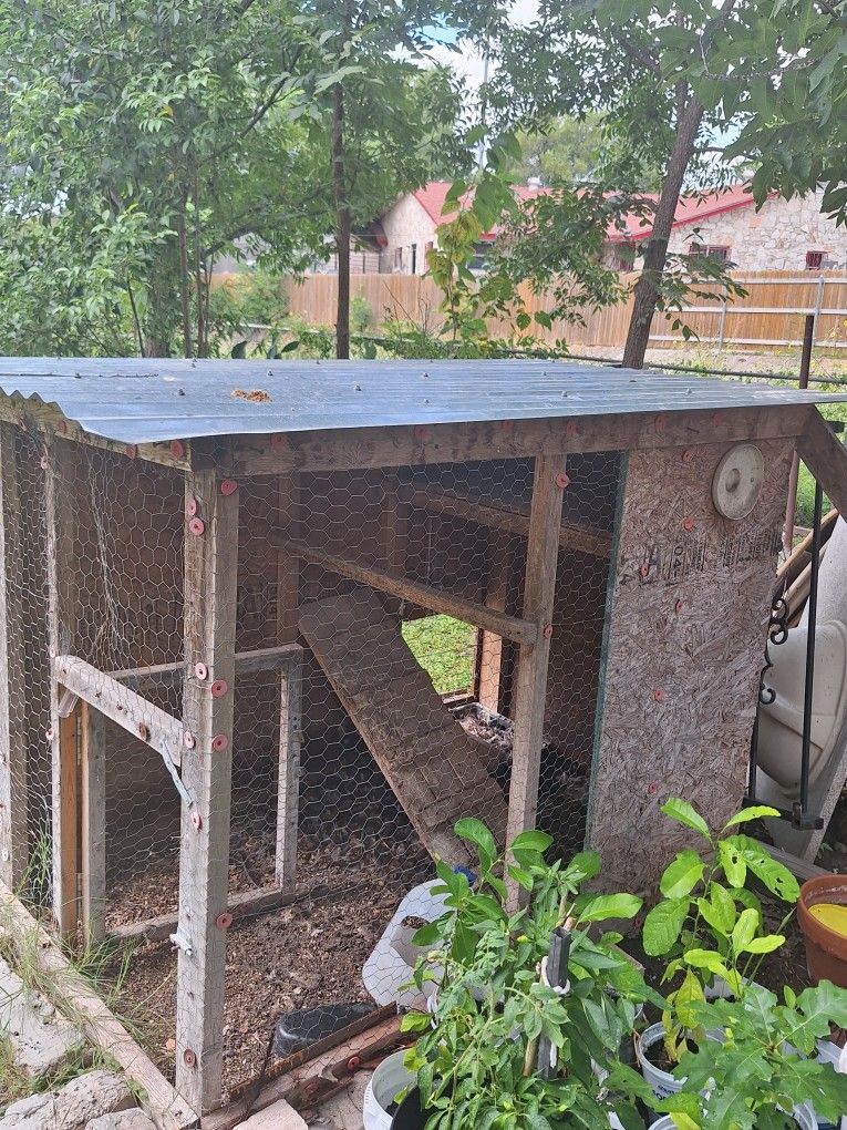 Jaula Para Gallinas