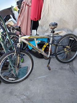 Bicicleta