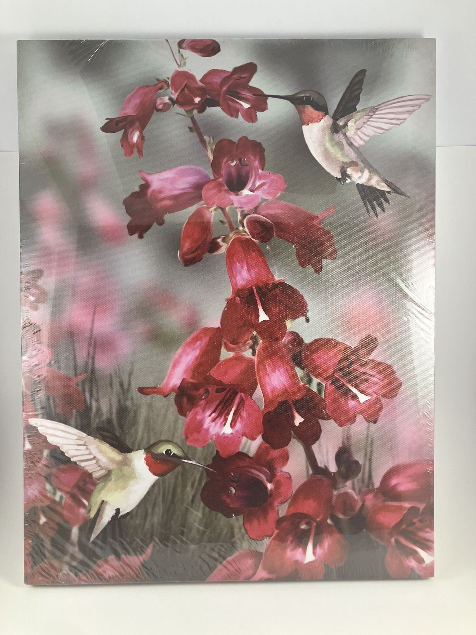 Title: New Hummingbird Lighted Canvas Wall Art - LED Glow, Battery Operated - $25