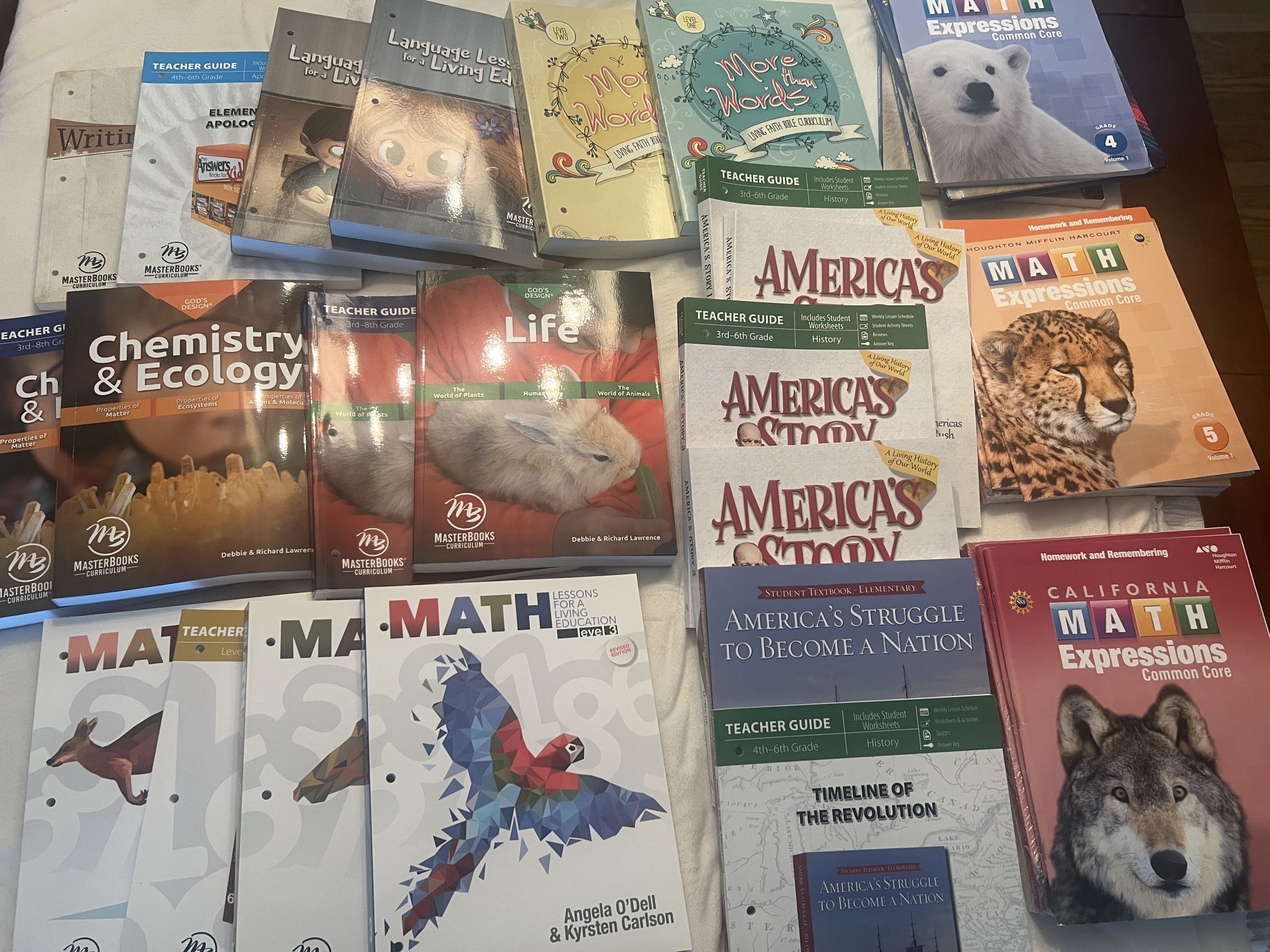 MASTERBOOKS CHRISTIAN HOMESCHOOL CURRICULUM (originally over $850 worth of Brand New Curriculum) 