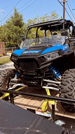 2015 Rzr