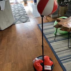 Kids Boxing Set