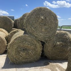 Alfalfa/ Grass Hay Round Bales