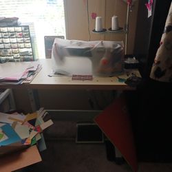 Commercial Sewing Machine