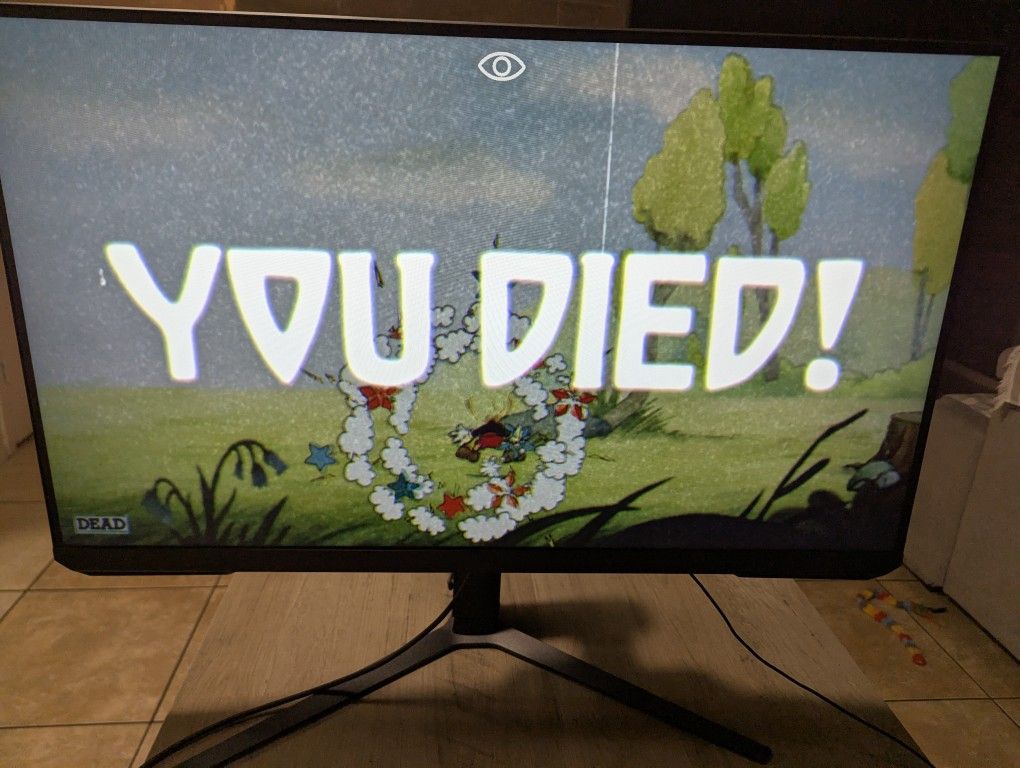 Gaming Monitor 1440p 165hz