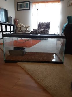 Aquarium I Think It's 75gal