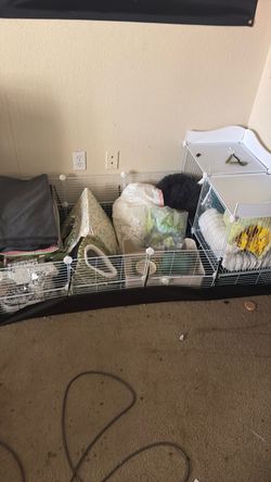 Guinea pig cage with everything else needed plus more
