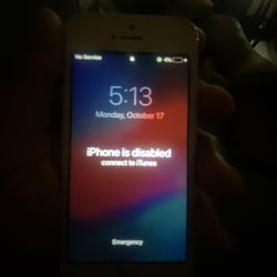 iPhone 5 Forgot The Password