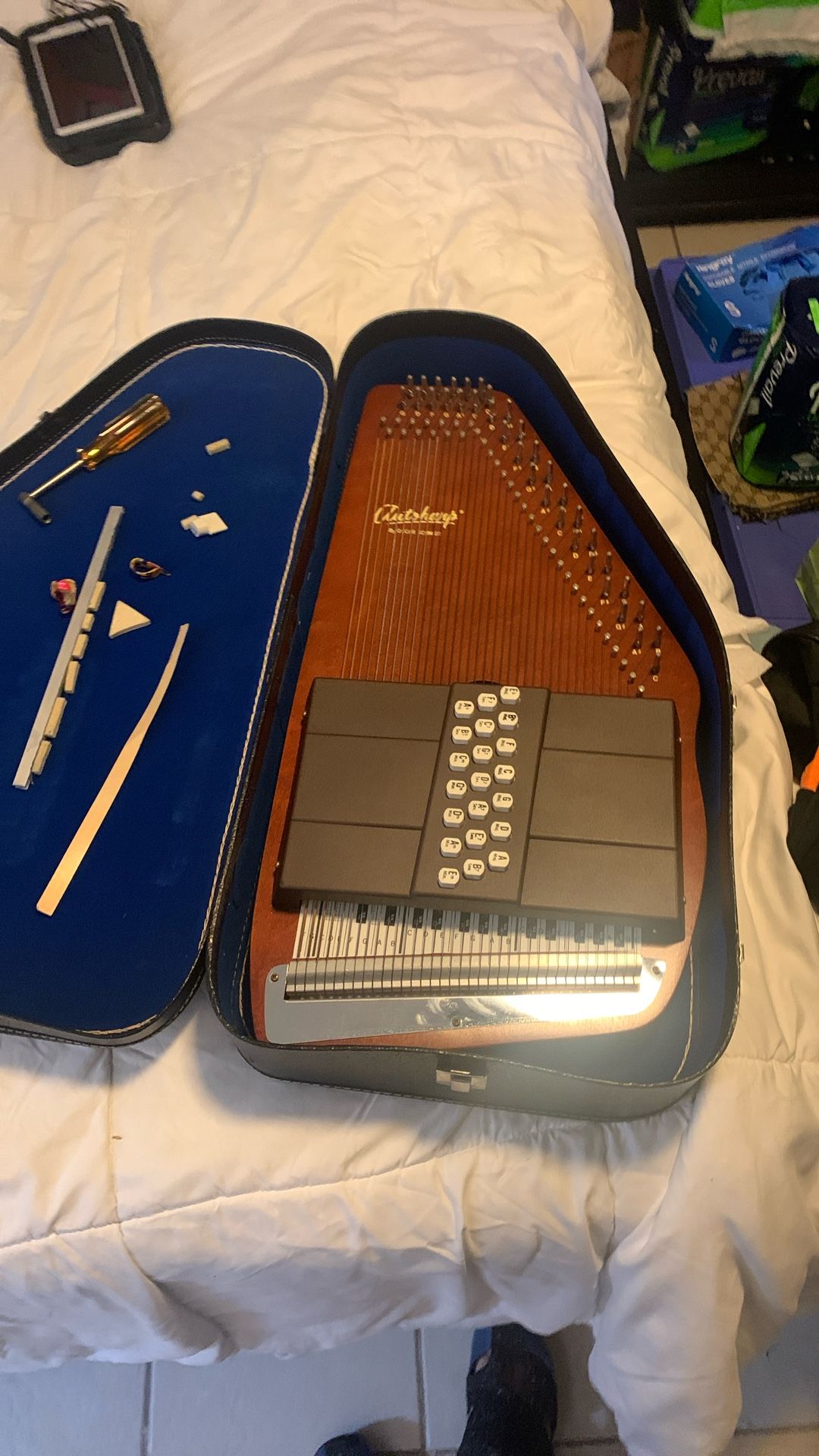 Autoharp