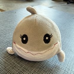 Adorable Baby Shark!