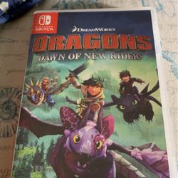 Dragons dawn Of New Riders For a Nintendo Switch      The Legend Of Zelda Breathe Of The Wild