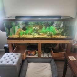 125 Gallon Aquarium 