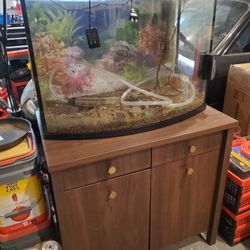 37 Gallon Aquarium with Stand and Supplies