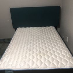 Full Size Bed , Box, And Frame