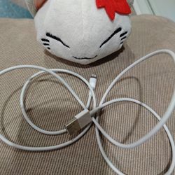 Apple Lightning Cable Like New Condition