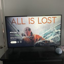 LG 43” 4K UHD TV