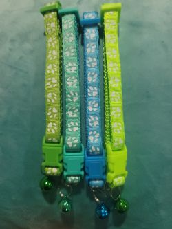 Small Dog Collar 