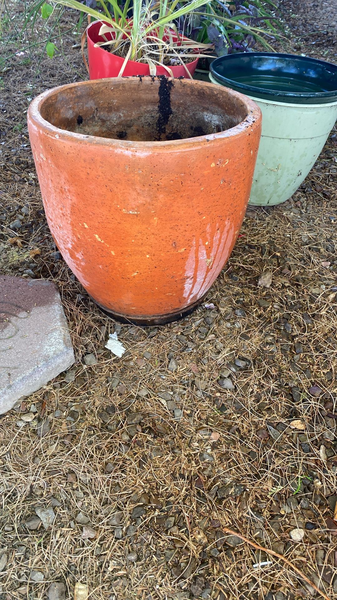 Tera Cora Pot, 15$