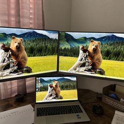 Twin HP Monitor Setup 