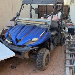 Not sure Kawasaki Teryx LE