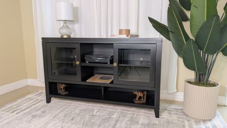 Restored 2 Door TV Console