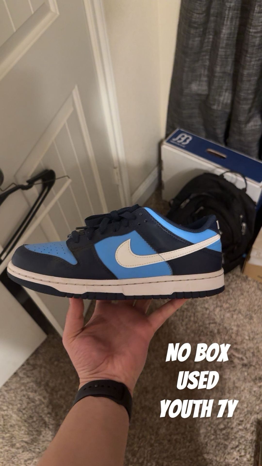 Nike Dunks