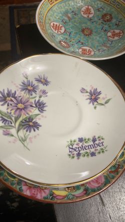 September saucer