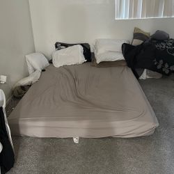 Queen Size Matters 
