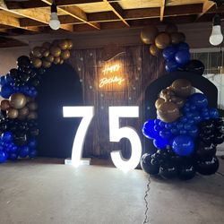 Balloon Set Up 