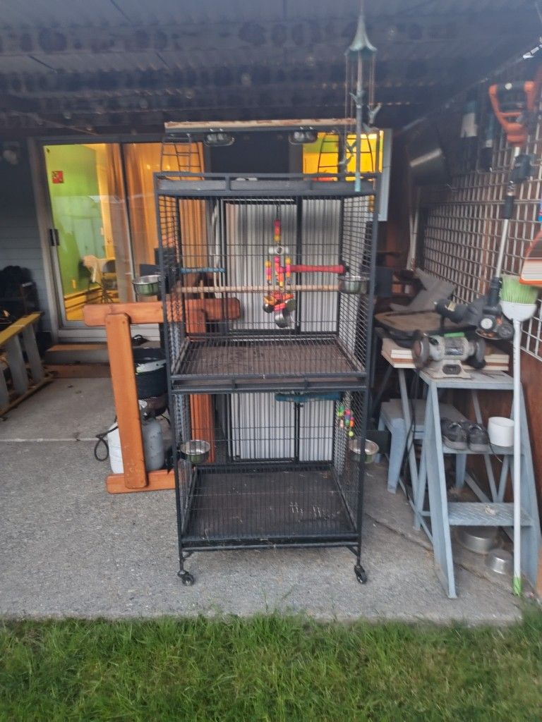 Bird Cage