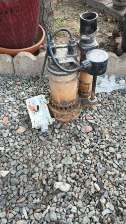 Water pump