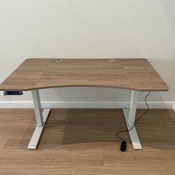 Computer / Gaming Desk