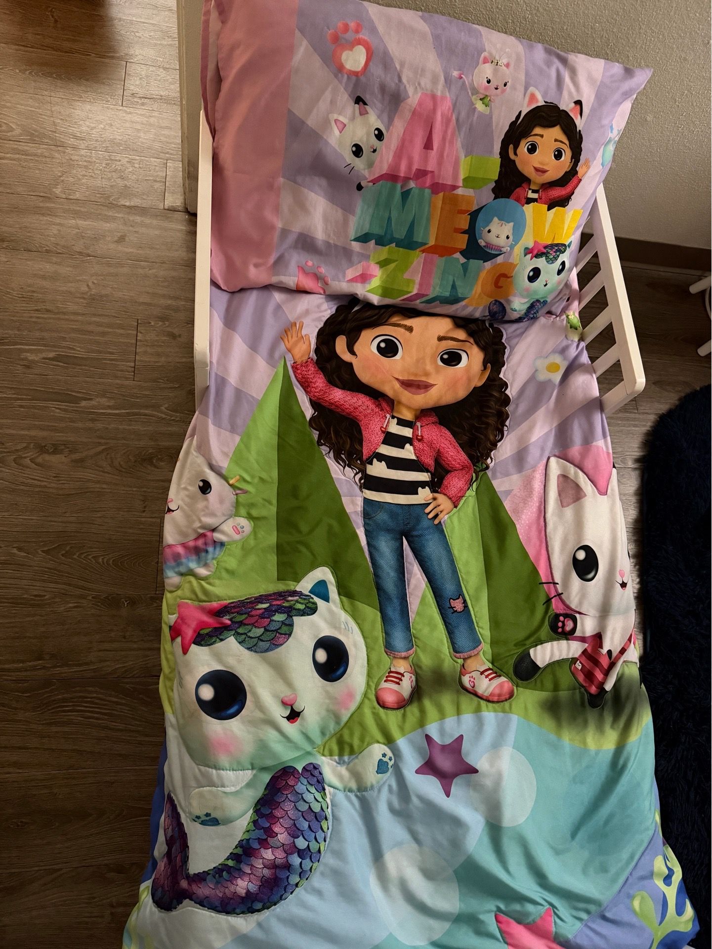 Gabby’s Dollhouse