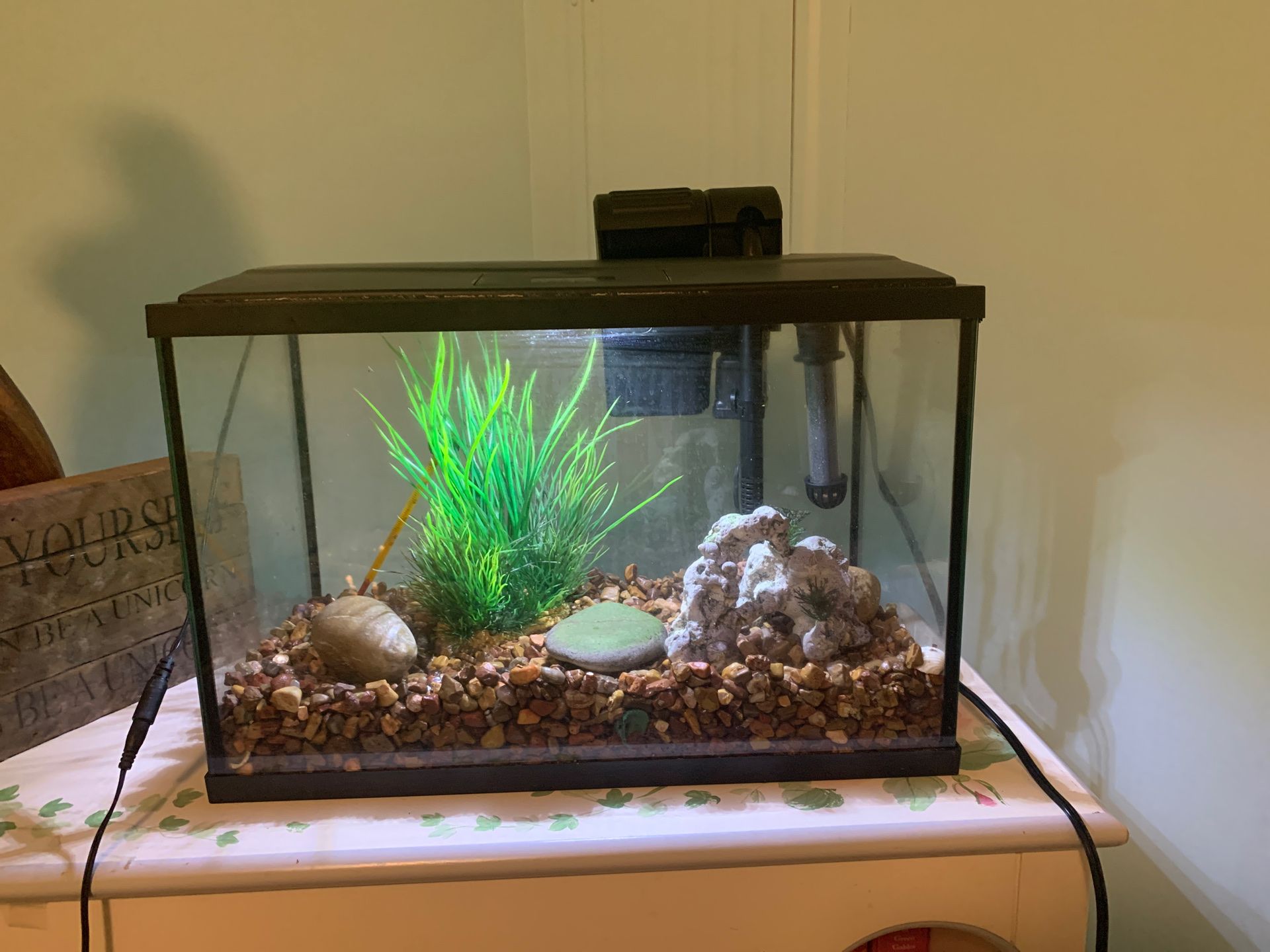 PERFECT CONDITION 5.5 gallon aquarium kit