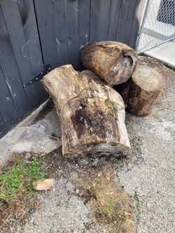 Free lumber trunks perfect for pit fires, alley of 4016 w Flournoy.  If add still up still available