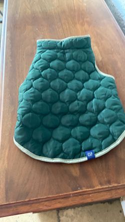 Gap Dog  coat
