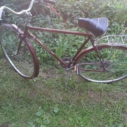 Raleigh Sprite Series 10 Speed