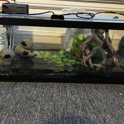 20 Gallon Aquarium