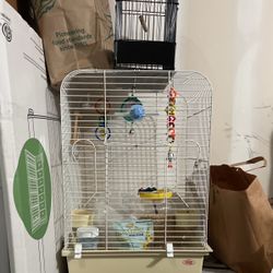 GREAT BARGAIN BIRD CAGES