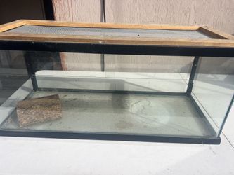 Reptile Tank