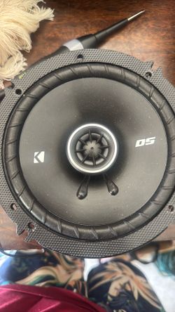 DS speakers for car audio