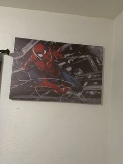 Spider-Man canvas