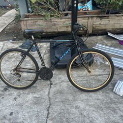 Giant Attraction Bike