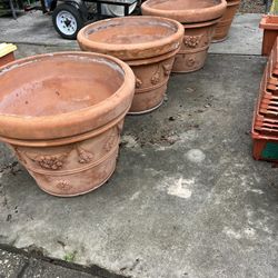 Terracotta Pots