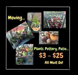 Moving - MUST SELL ASAP! Plants, Pottery, Patio Items...