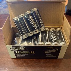 Alkaline Batteries