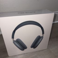 AirPods Max Babyblue