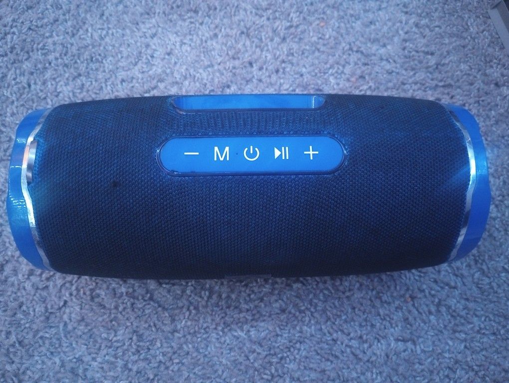 Portable Wireless Speaker (TG187)