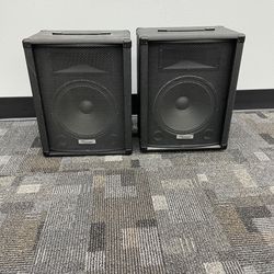 Hollinger PA-130 Speaker Set
